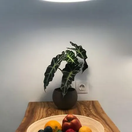 Appartamento La Casa Del Barbiere