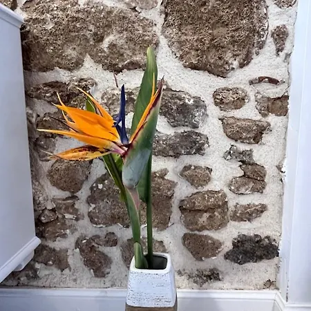 La Casa Del Barbiere Argyrades