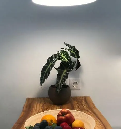 Appartement La Casa Del Barbiere