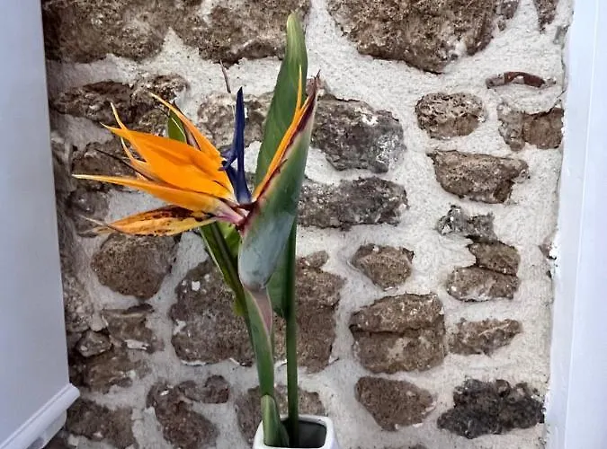 La Casa Del Barbiere Argyrades